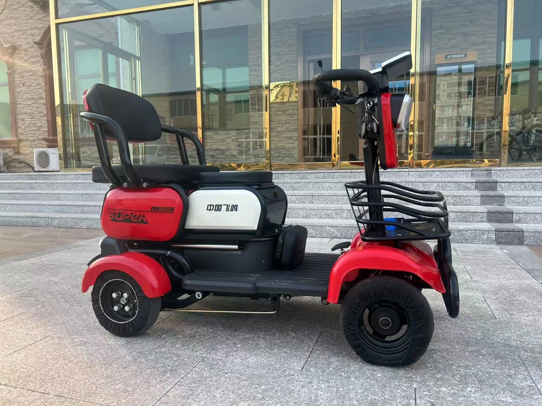 飛鸽-QC2025时尚电动车新款锂电池电动车