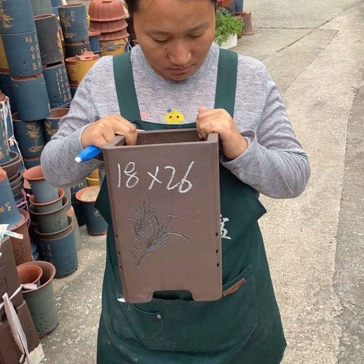 紫砂花盆盆栽花卉苗木种植