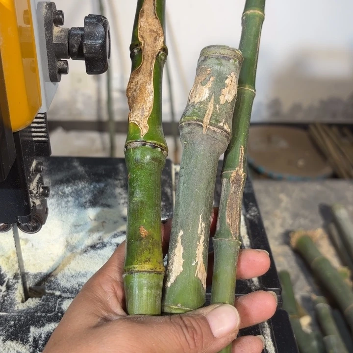 竹围*实心竹竹竹竹竹竹竹竹竹竹