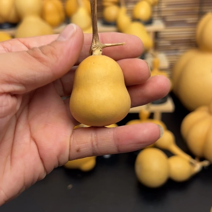 人****^126666558669999