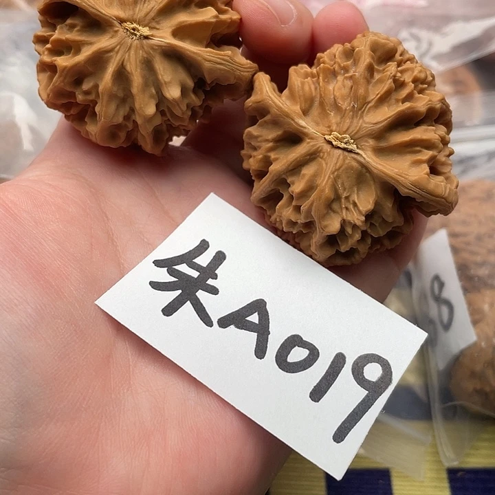 文玩核桃吊坠核桃