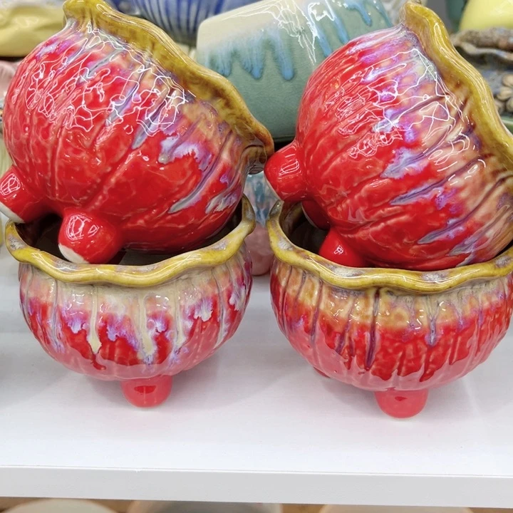 多肉植物陶瓷花盆