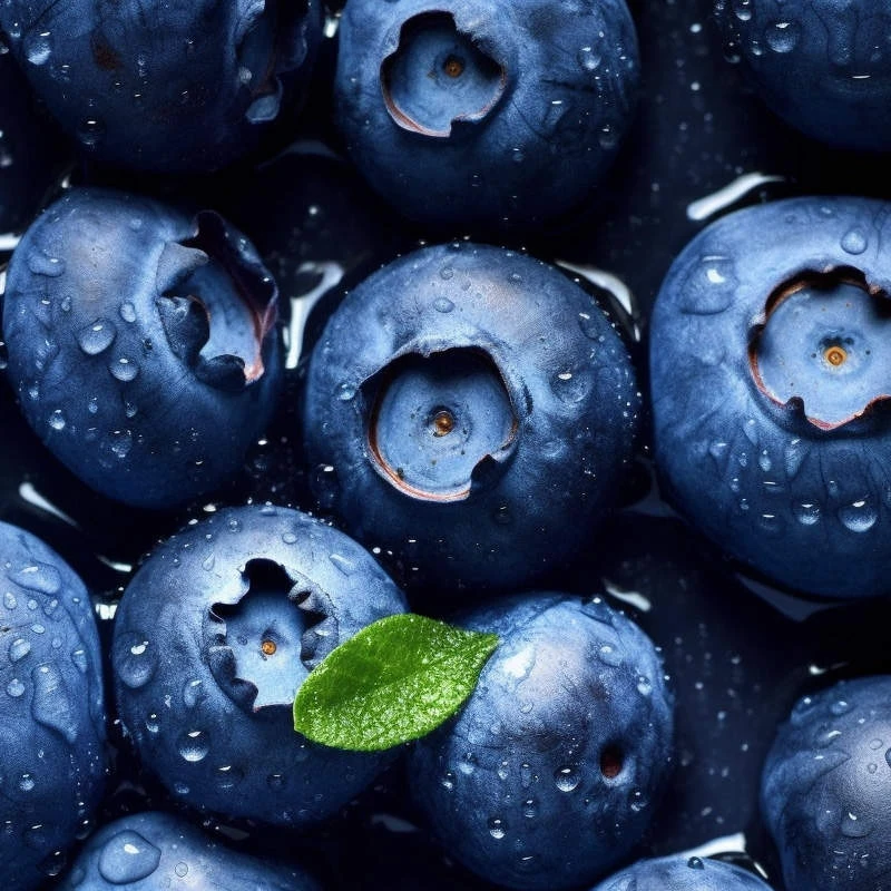 绿芳园辽宁丹东花香蓝莓18+ 125g