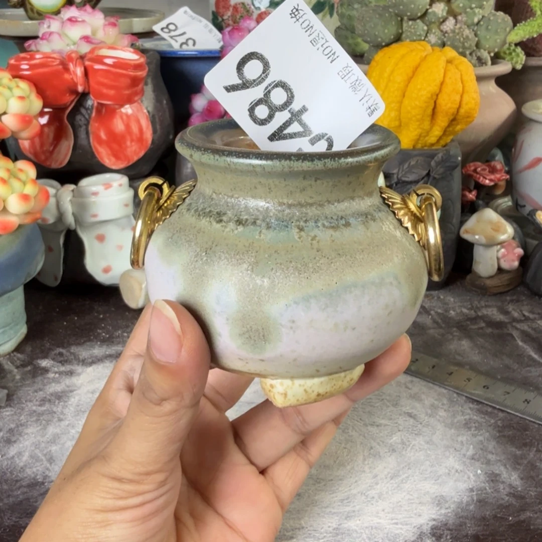 重庆小燕子欢迎大家486