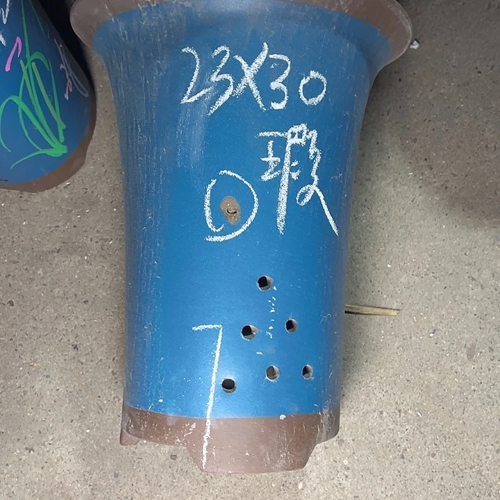 这是事实周三周四