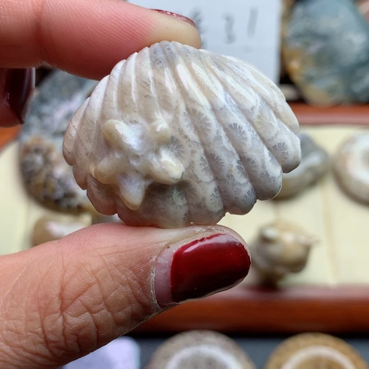 硅化珊瑚（珊瑚玉）颈饰未镶嵌