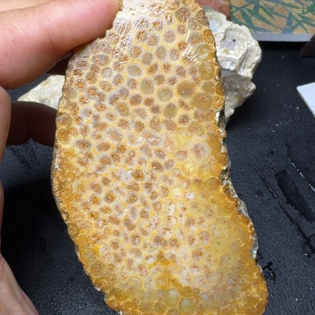硅化玉片料 未镶嵌