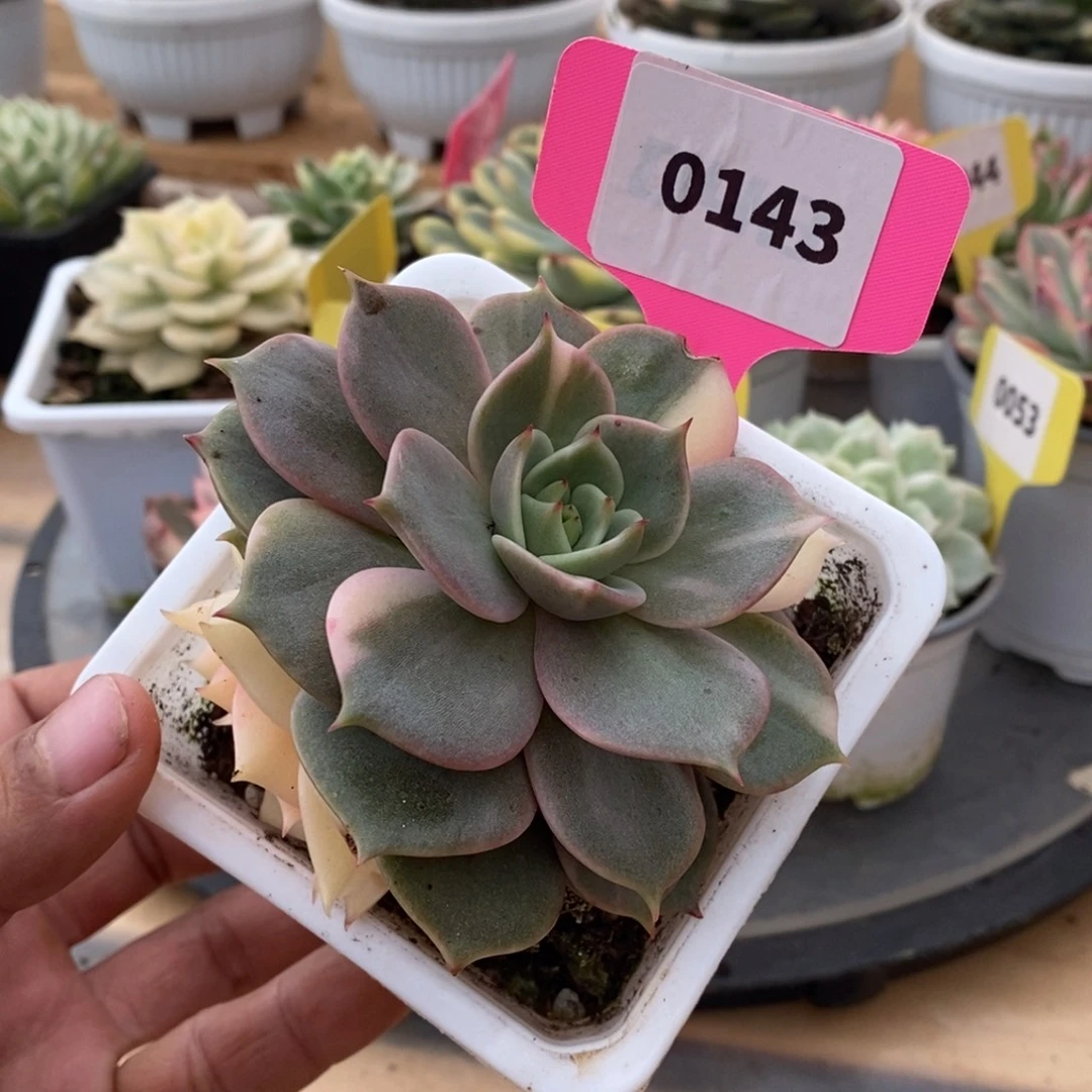 0143贝加尔湖哈哈哈