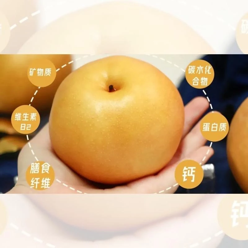 农心农意 秋月梨