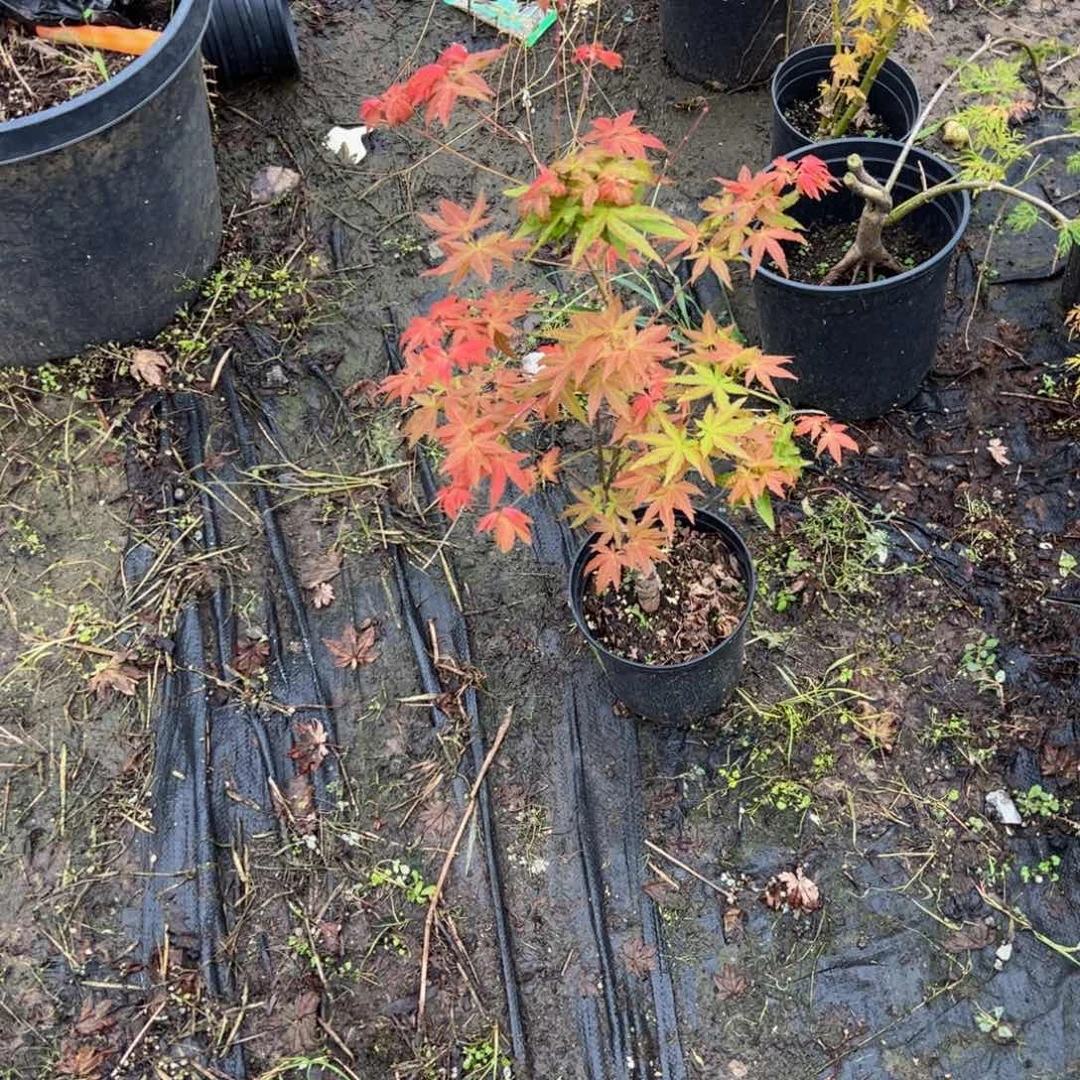 工***上完全开放1111111111