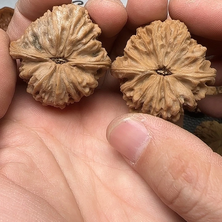 知***3吊坠文玩核桃110南疆石42尺全品打底