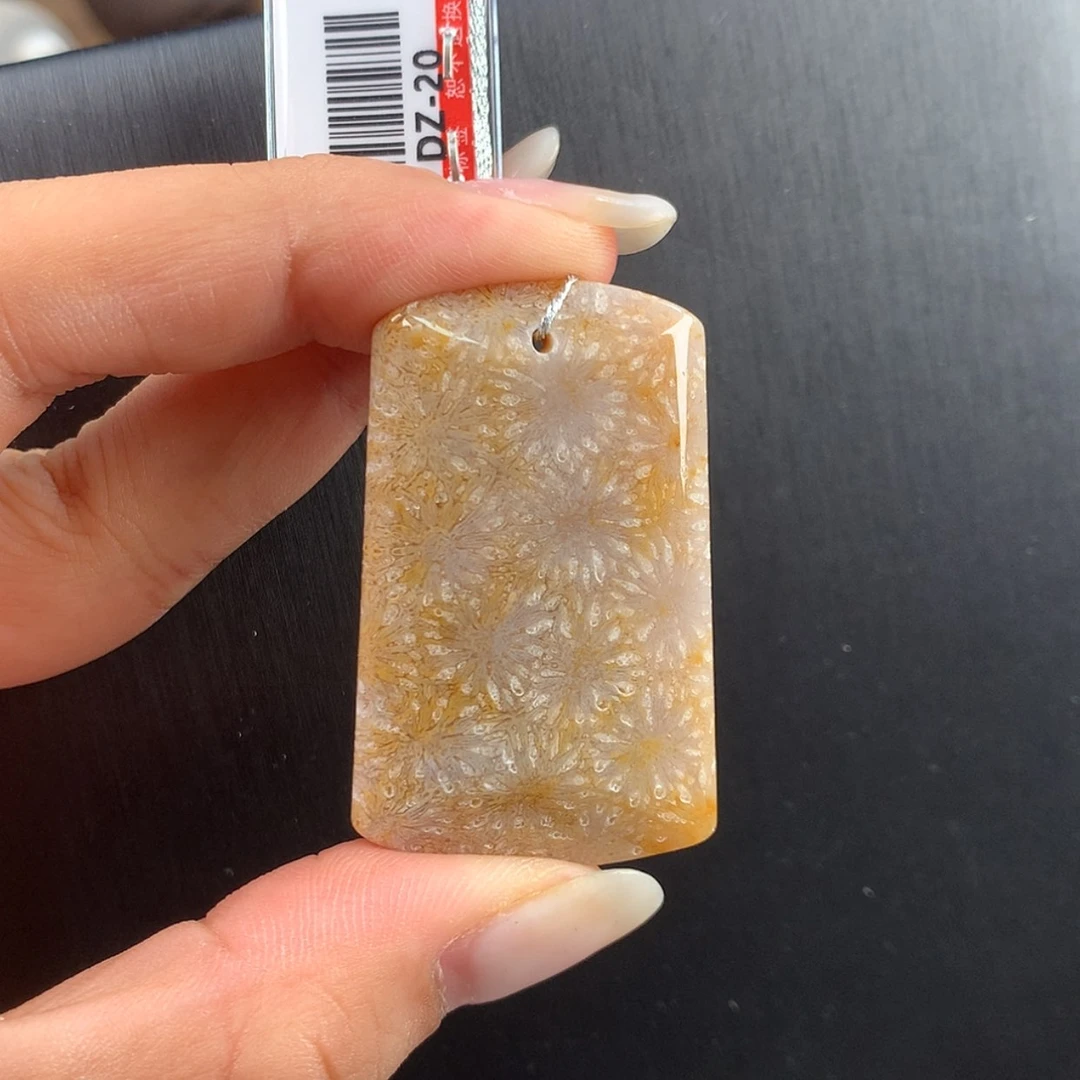 【闪购商品】硅化珊瑚（珊瑚玉）未镶嵌项链4号吊坠