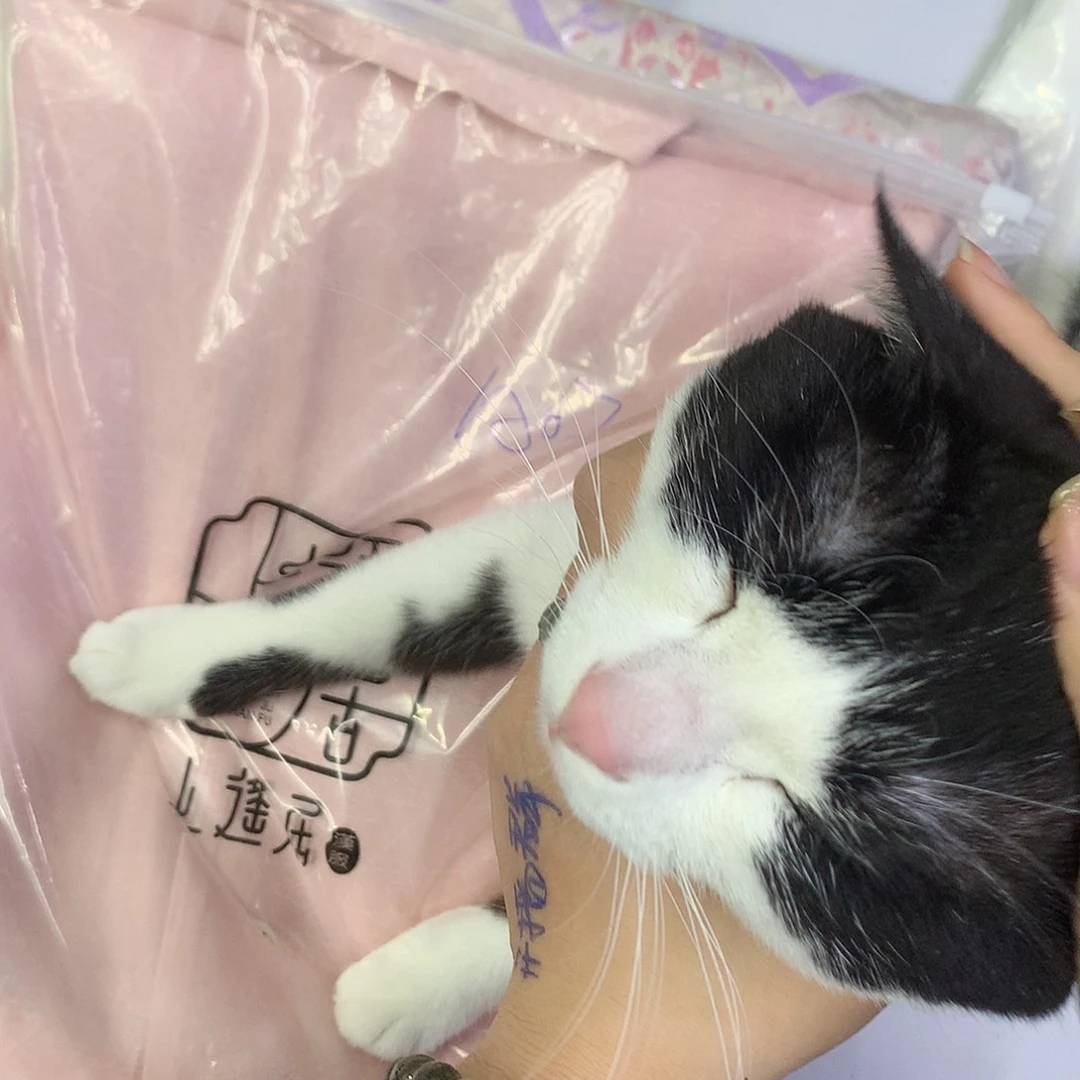 默认瑕疵不退不换a07