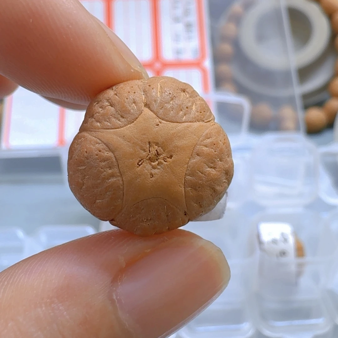 吊坠凤眼菩提18mm五星85@5117