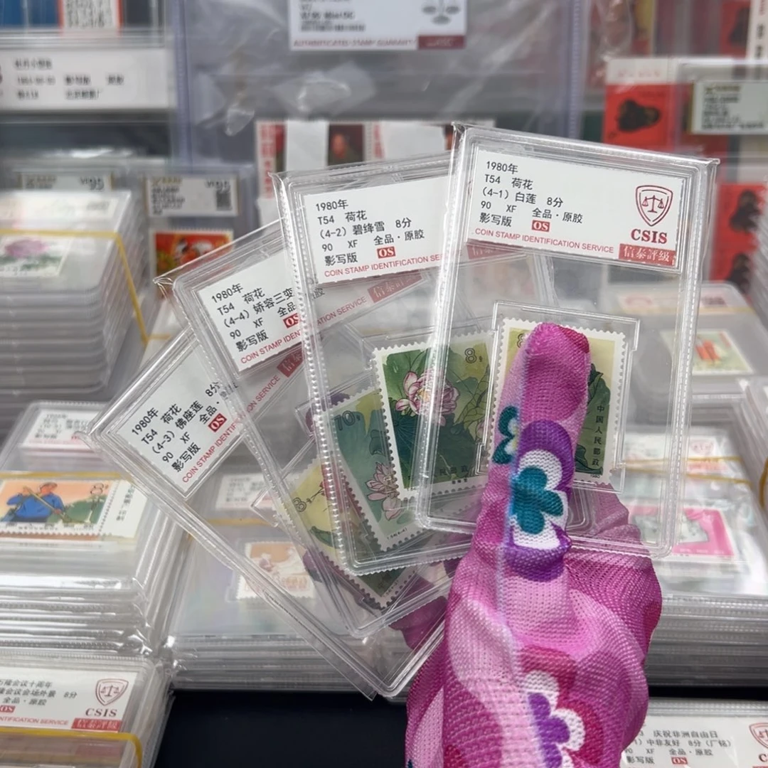 荷花信泰os 90 原胶全品