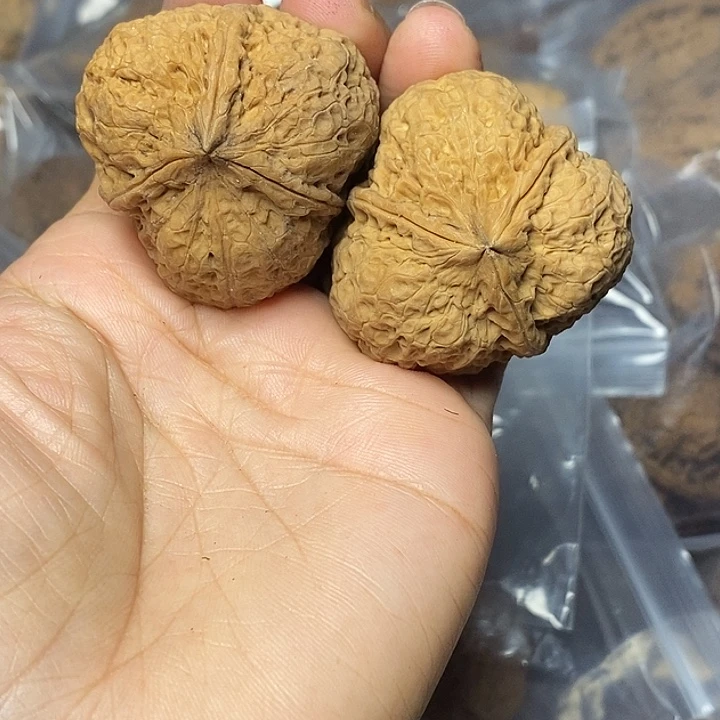 文玩核桃把件云南铁核桃64