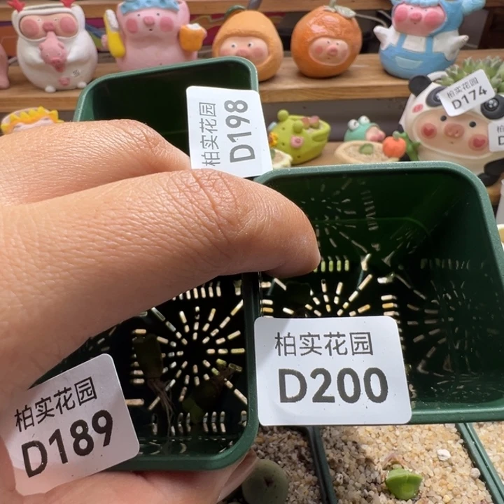 A****189/198/200。2151和y400