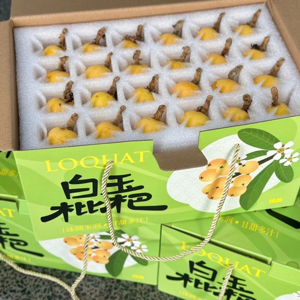 正宗苏州白玉枇杷96颗装