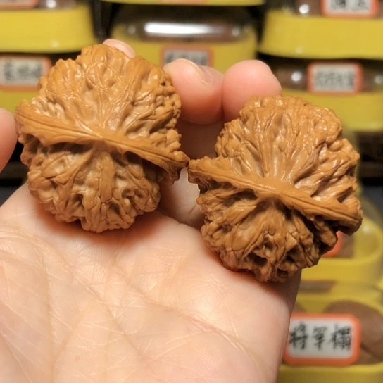 特价福利：球体苹果园