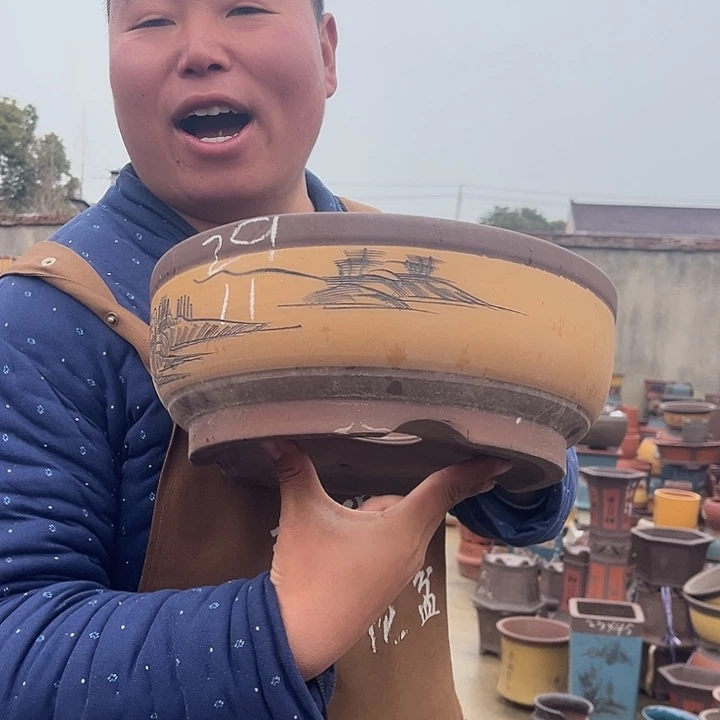 紫砂紫砂花盆盆栽