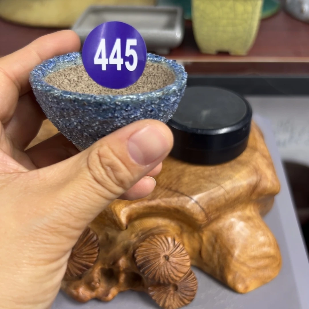 红陶h****p轻轻一点，直接输入445