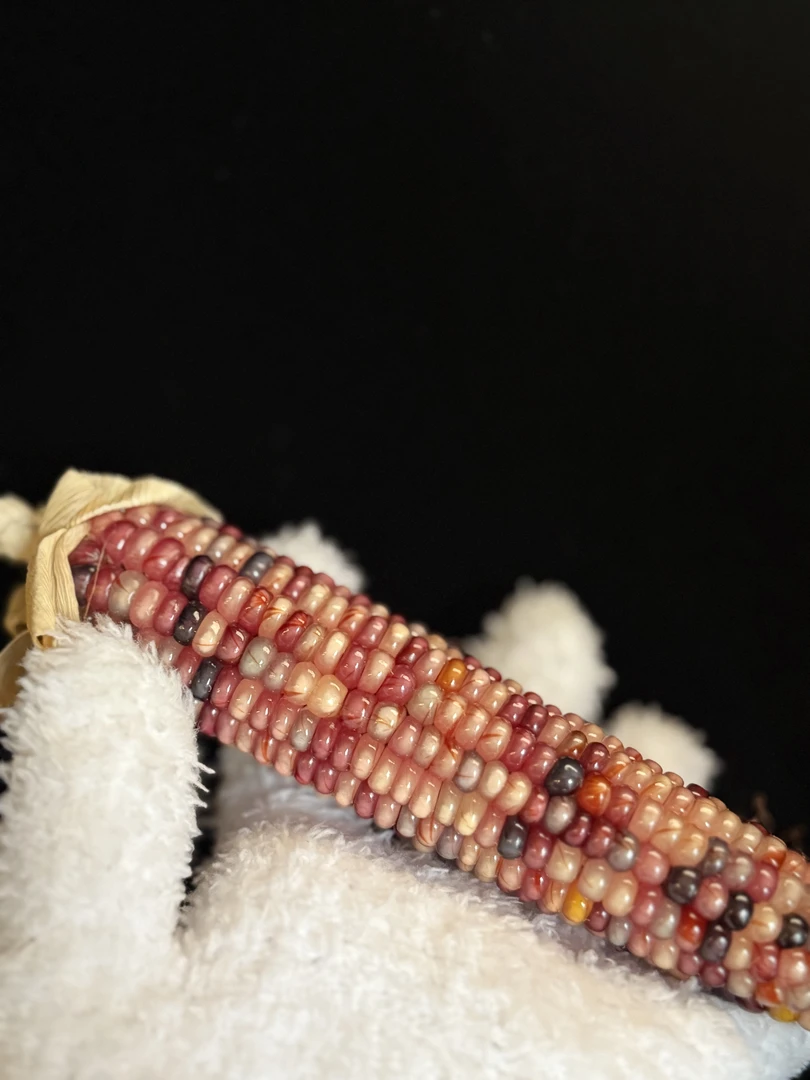 彩璃玉米 8-50直播间一物一拍