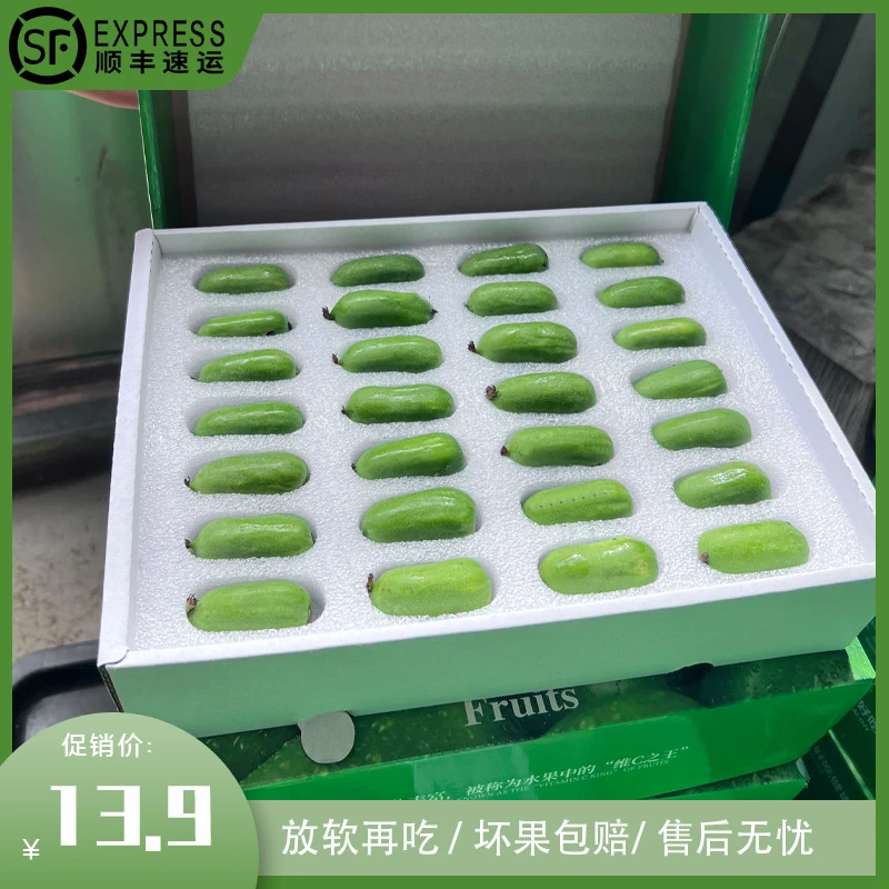 顺丰发货包邮丹东高端软枣猕猴桃龙城2号奇异莓放软食用