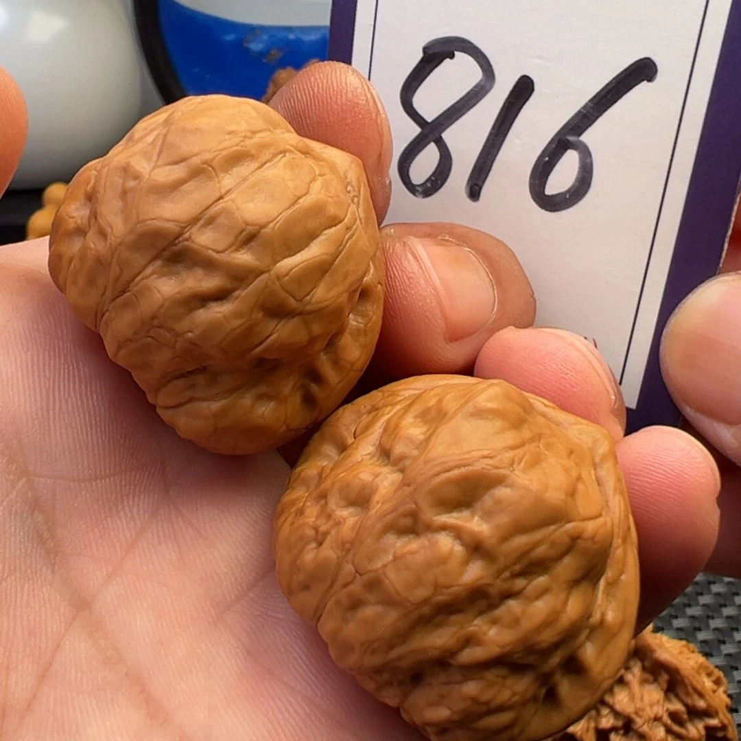 文玩核桃把件古蟾37尺寸816号