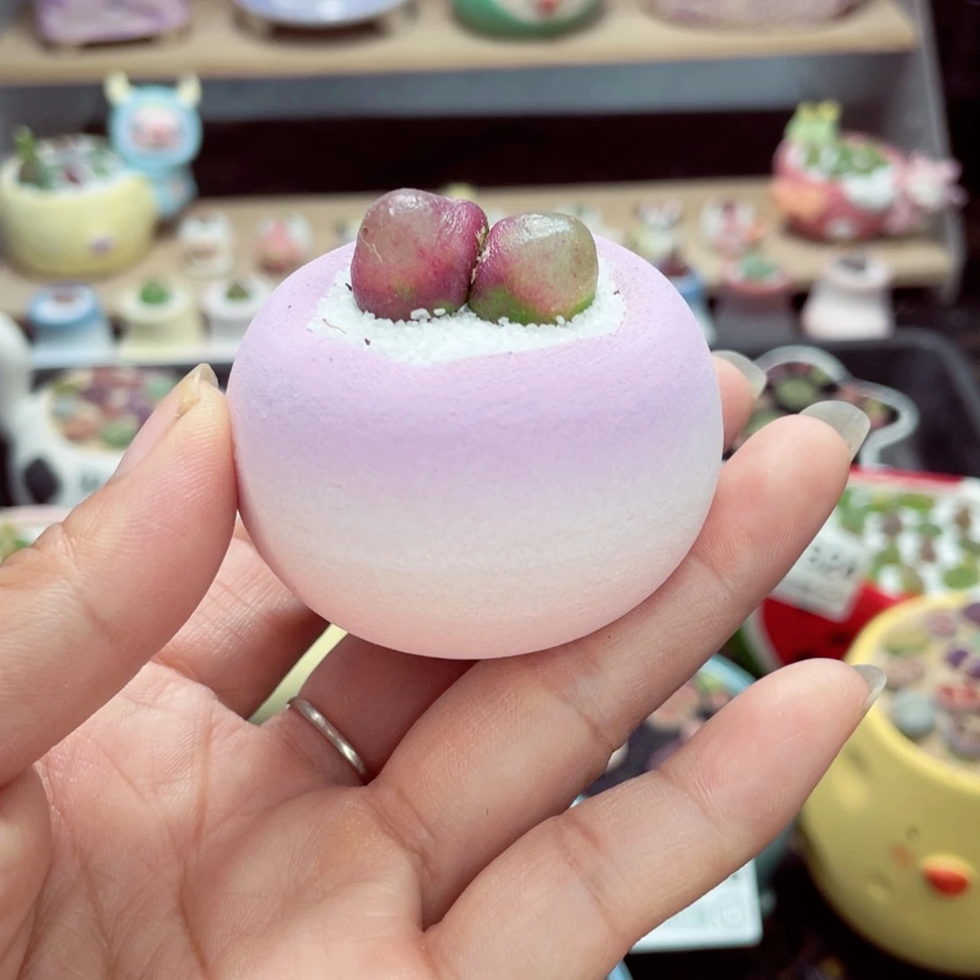 w1333 零下地区拍保温箱