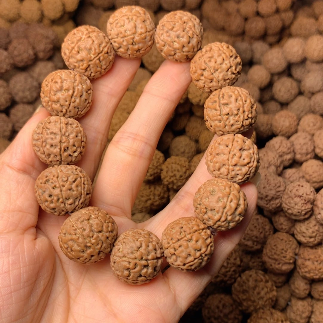 木7瓣爆肉卡19尺寸，79号