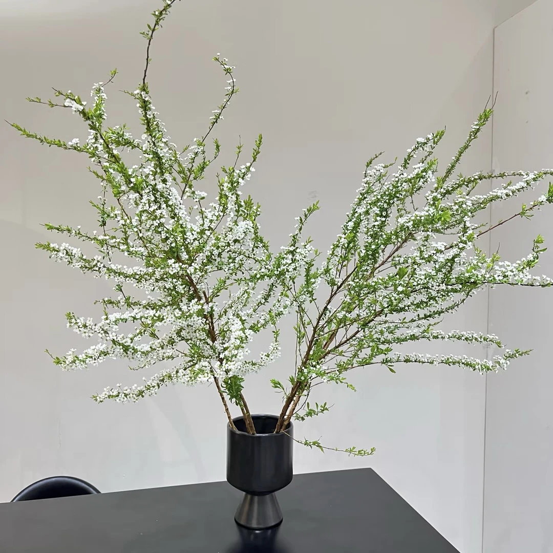 鲜切雪柳~喷雪花·冬日氛围感小众花材