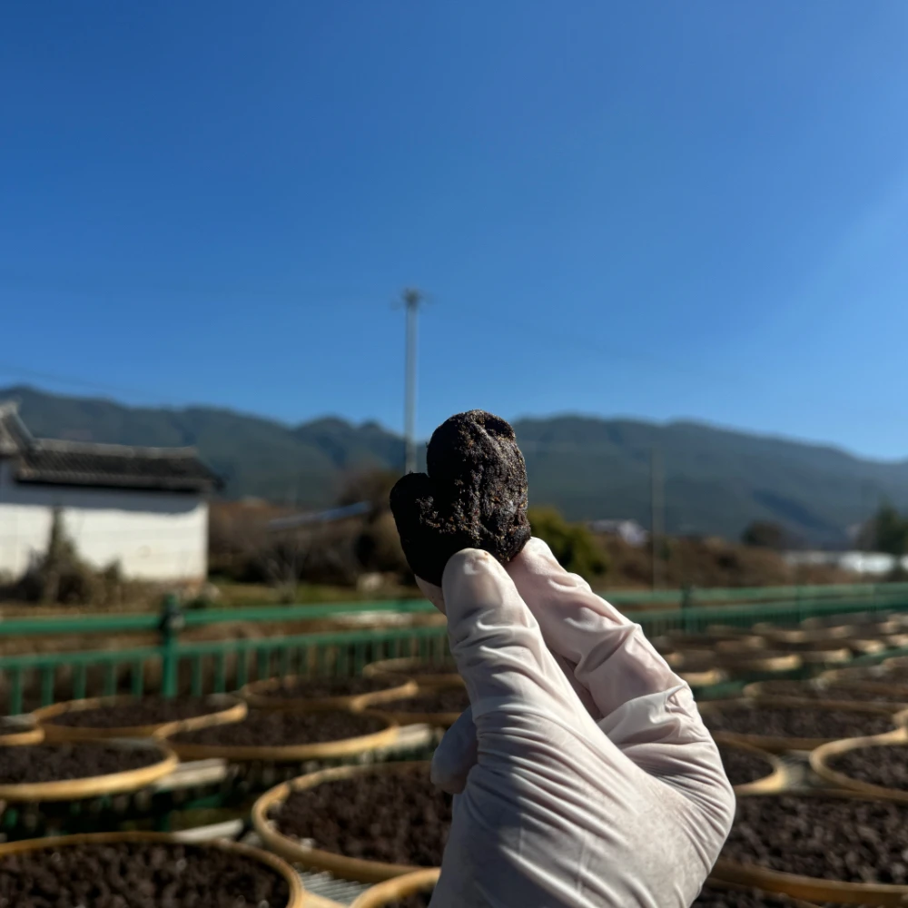 不山 · 九蒸九晒九制黄精云南手柴火滇黄精仙人余粮250g罐装