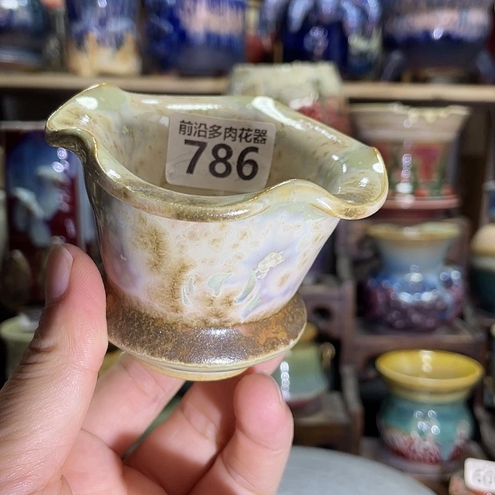 狼盆内口径6高度6