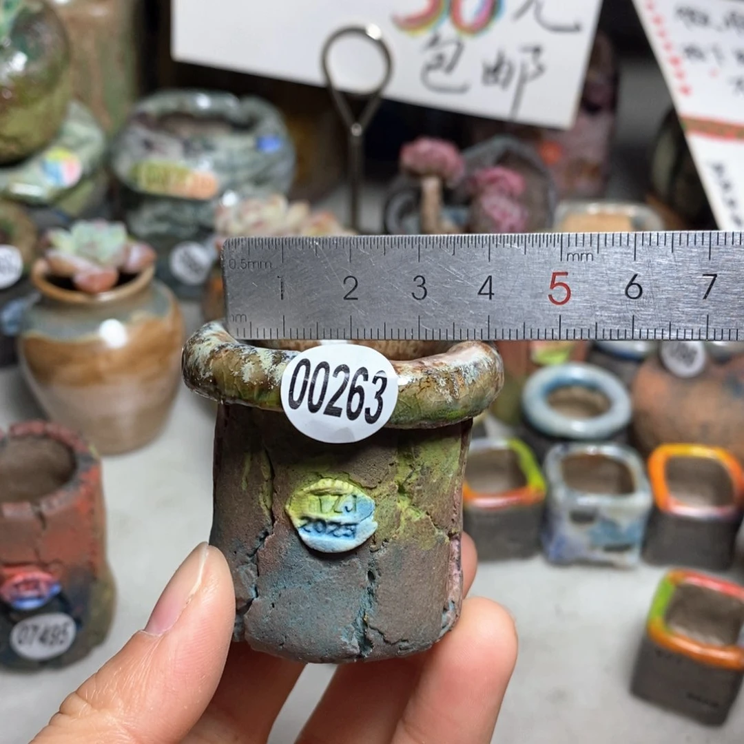花盆拍3送一个小礼物