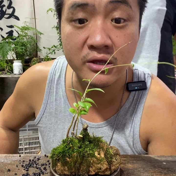 无花朵退款拉黑拉黑50