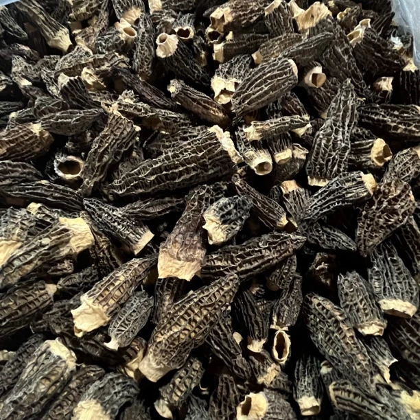 手选高手头茬厚肉六妹羊肚菌0802