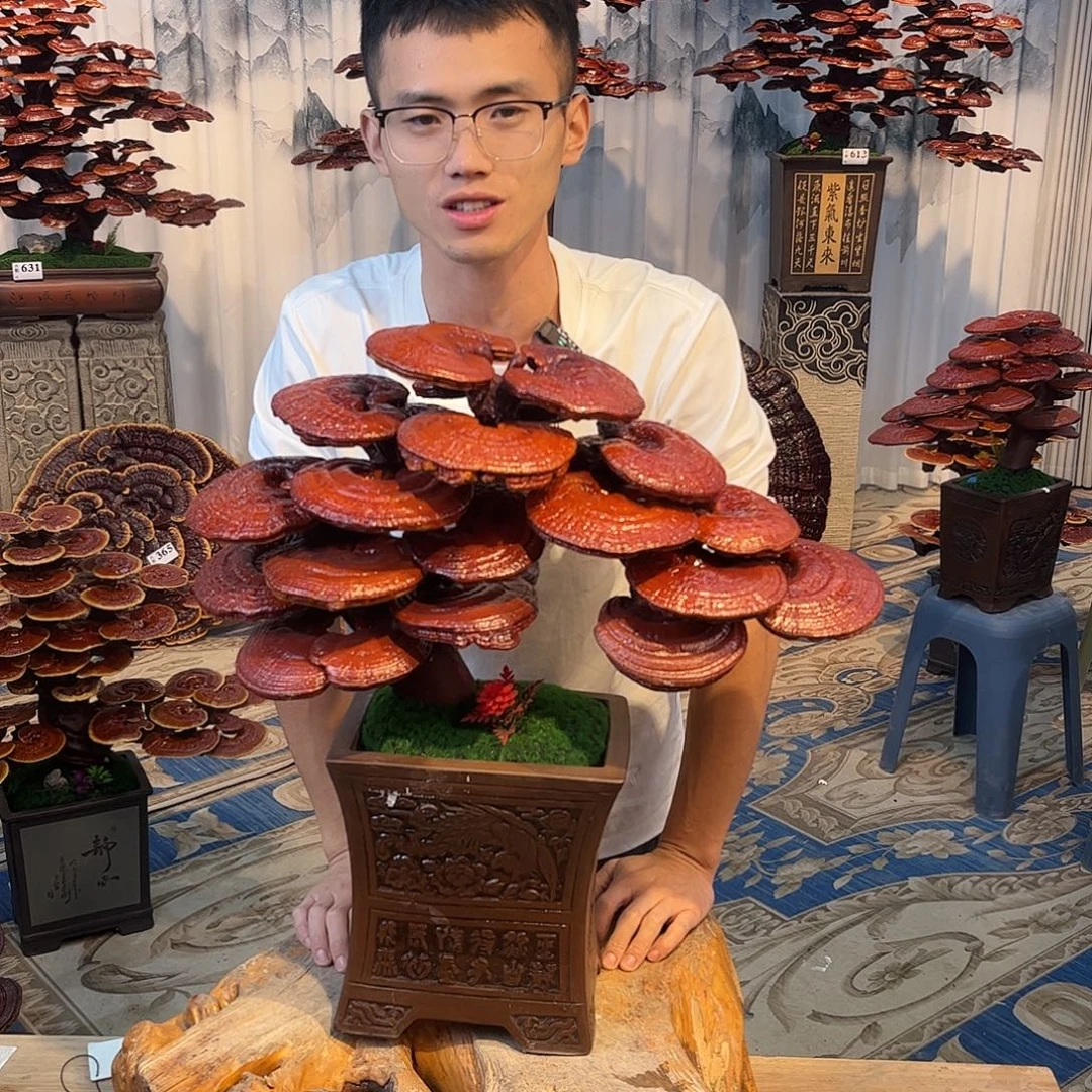 无花朵88888888888888