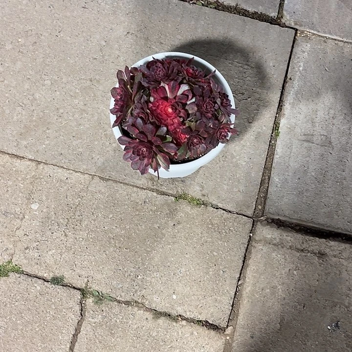 倩***宝黑漂亮漂亮漂亮漂亮漂亮