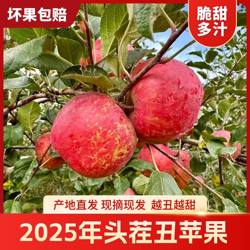 HD【坏果包赔】四川大凉山盐源丑苹果整箱5斤脆甜多汁新鲜应季水果