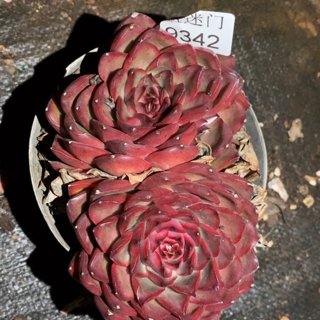 杆子有洞不售后~9342~12厘米