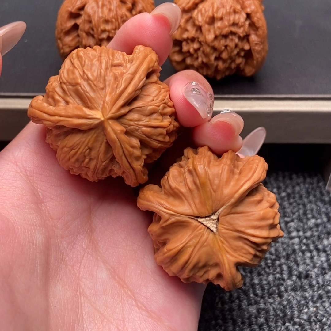新***阳木质类白狮子正奔
