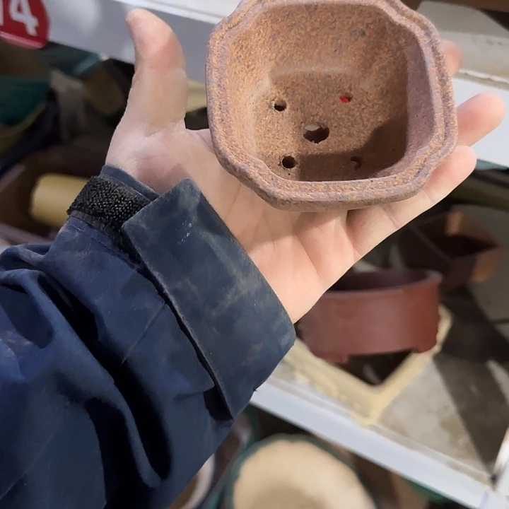 一哈来不急不慌啊哈哈不晓得怎么
