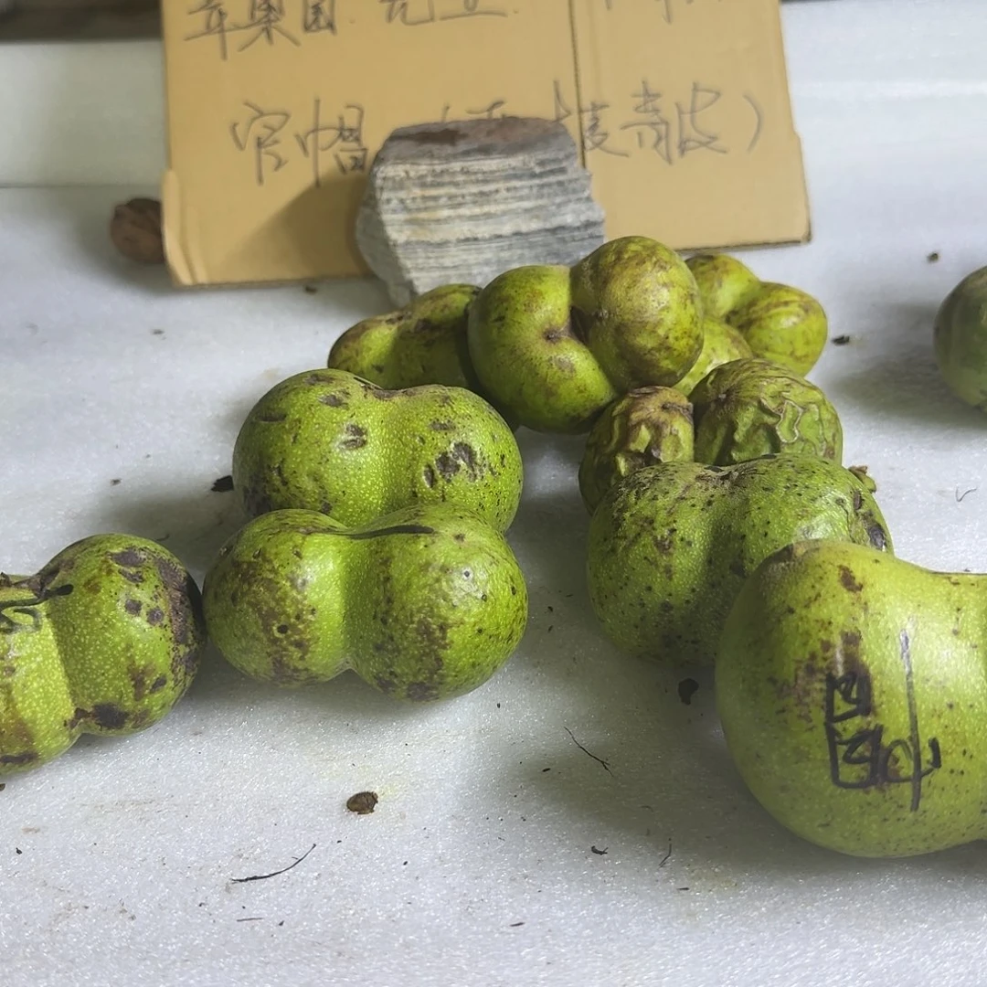 吊坠文玩核桃虍*哥白狮半壁