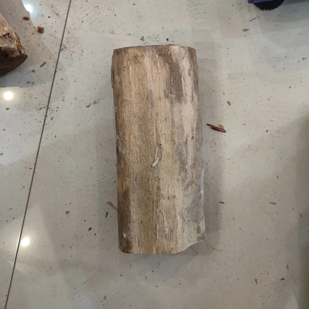 湖北珍珠黄杨木老料