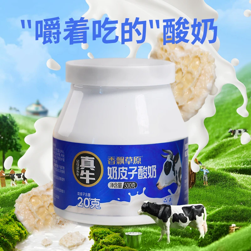 内蒙奶皮子酸奶500g/罐 嚼着吃的酸奶 口感丝滑