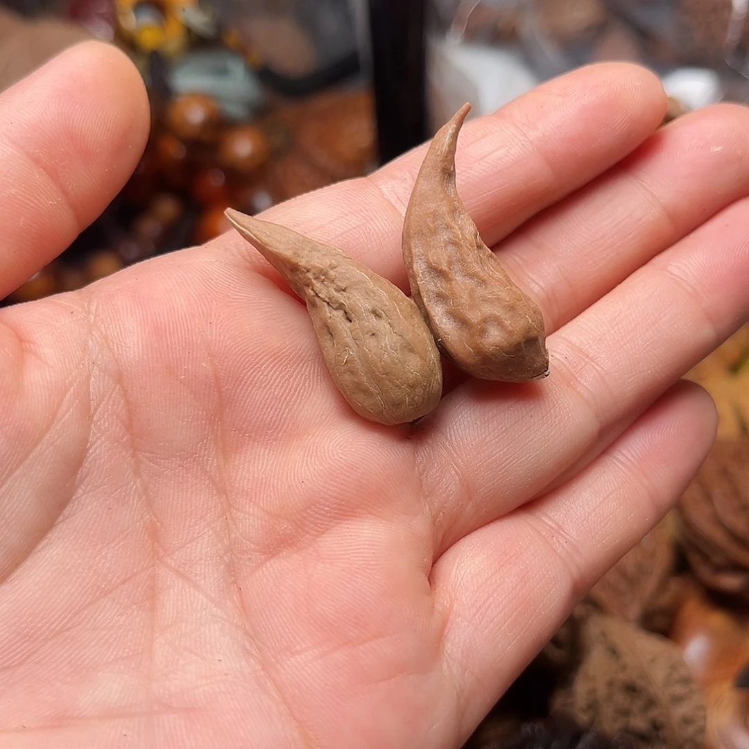 吊坠文玩核桃核桃28