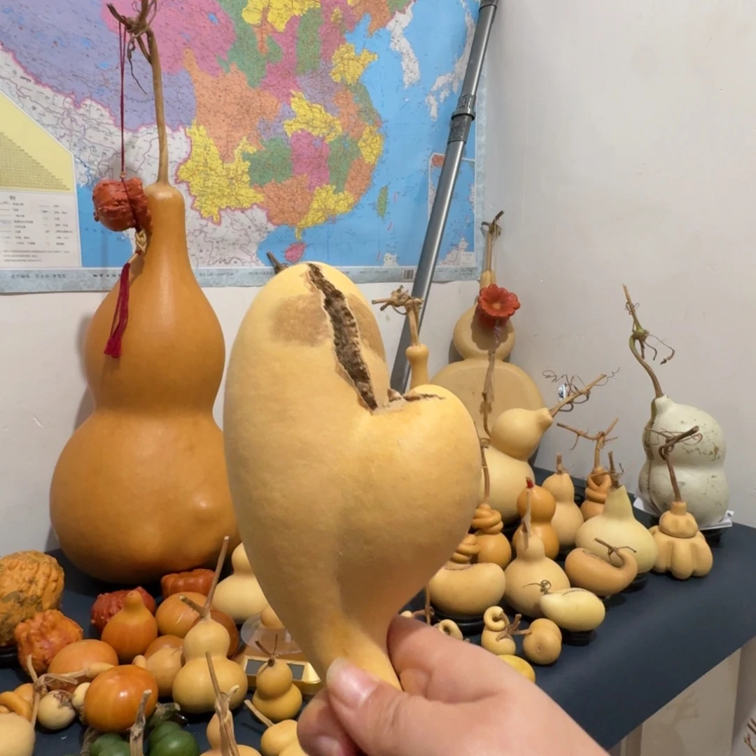 8***5家里来具体情况怎样