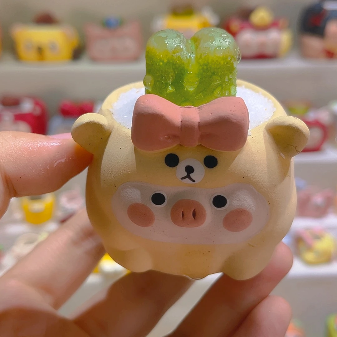 036高端多肉带盆带土