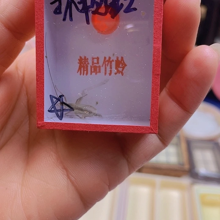 抓***星天水黑1啊啊啊啊啊啊