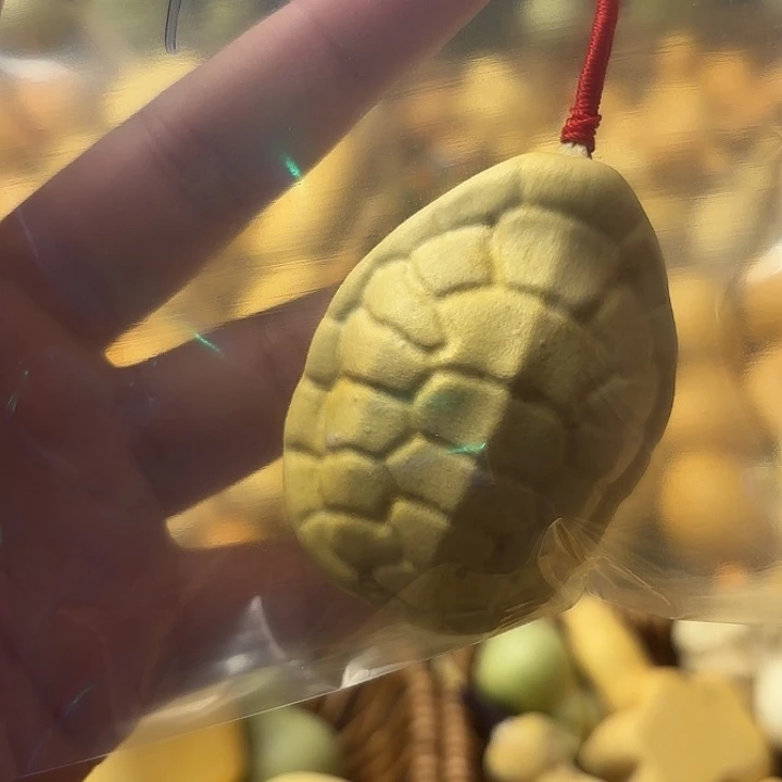 小乌龟今天大宝发货